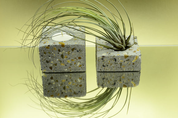 Set of 2 Handmade Rectangular Brushed Concrete Tealight, Airplant Holders
