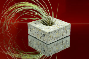 Handmade Brushed Concrete Rectangular Tealight, Airplant Holder