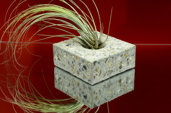 Handmade Brushed Concrete Rectangular Tealight, Airplant Holder